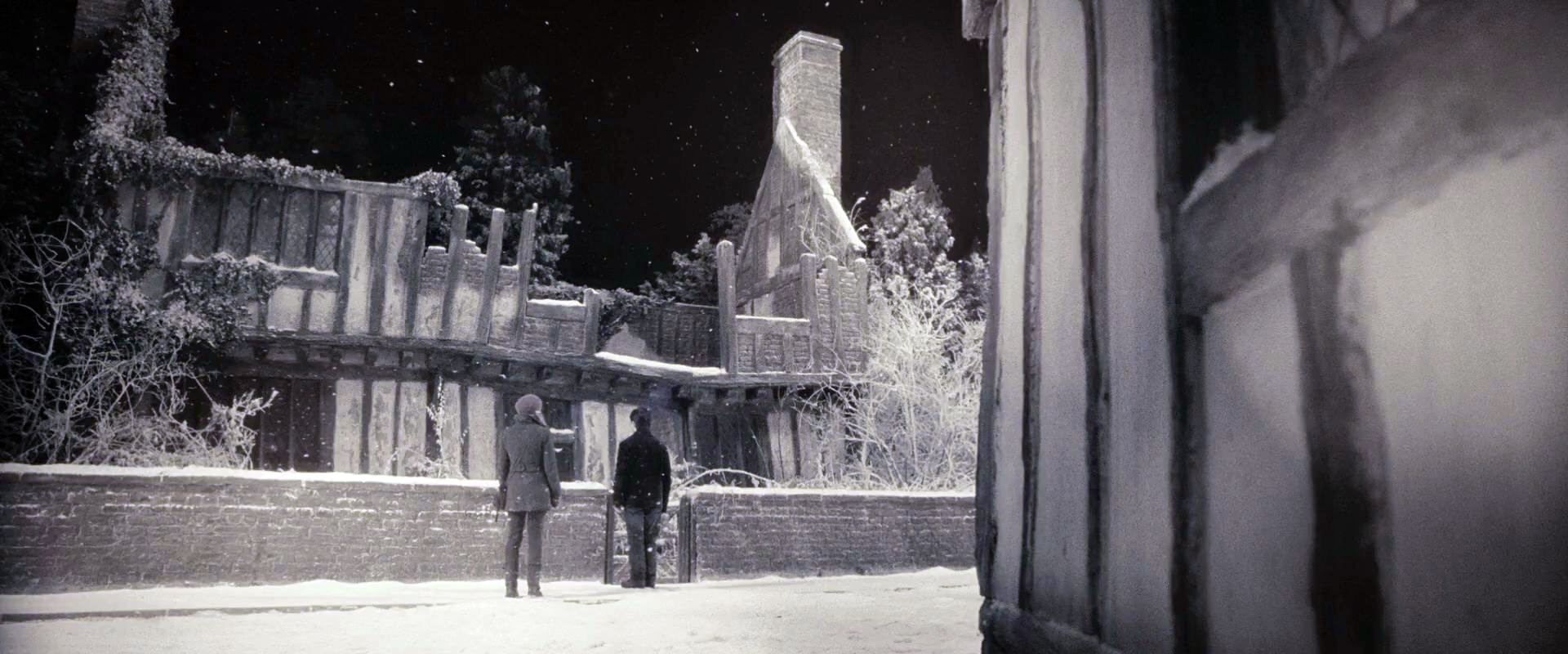 DH1_Hermione_and_Harry_outside_the_Potter's_house_in_Godric's_Hollow